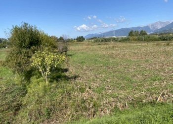 xxl (6).jpg - Casale Pietrasanta - foto 2