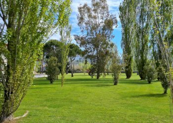 PHOTO-2022-10-07-10-55-03.jpg - Villa Pietrasanta - foto 28