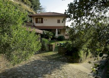 413186.jpg - Rustico Pietrasanta - foto 1