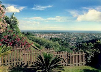 413185.jpg - Rustico Pietrasanta - foto 2