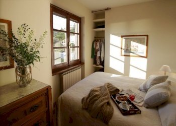 413174.jpg - Rustico Pietrasanta - foto 12