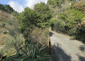 413160.jpg - Rustico Pietrasanta - foto 23