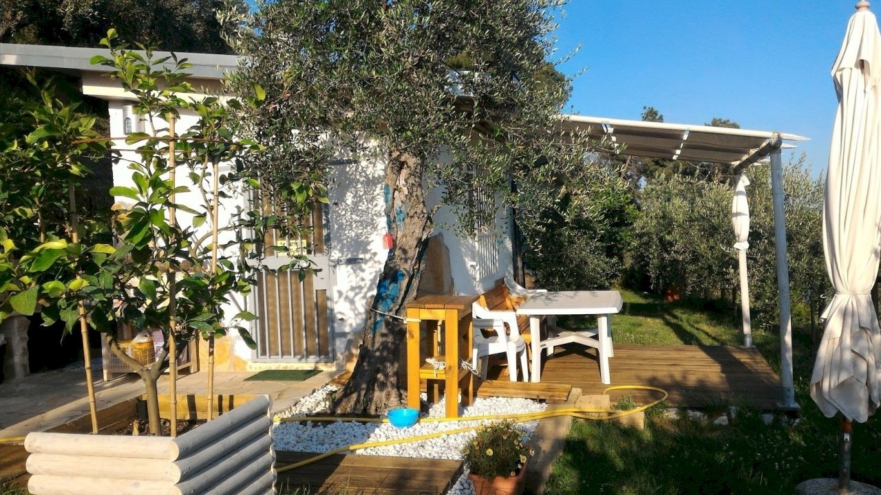 391169.jpg - Baita Pietrasanta - foto 3