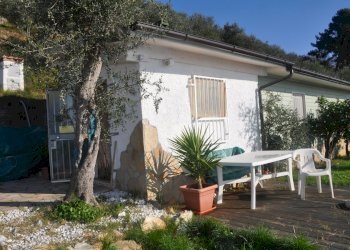 391171.jpg - Baita Pietrasanta - foto 2