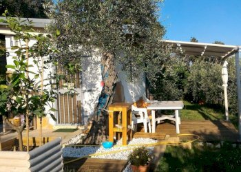 391169.jpg - Baita Pietrasanta - foto 3