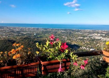 391165.jpg - Baita Pietrasanta - foto 4