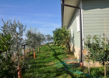 391170.jpg - Baita Pietrasanta - foto 7