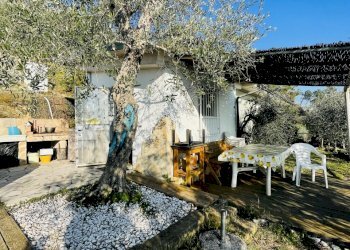 IMG_1890.jpg - Baita Pietrasanta - foto 9