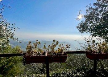 IMG_1857 3.jpg - Baita Pietrasanta - foto 10