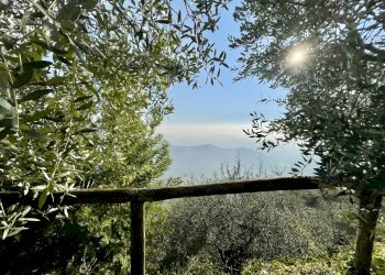 IMG_1860 3.jpg - Baita Pietrasanta - foto 14