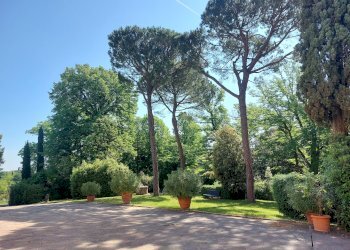 parco - Porzione di casa Imola - foto 4