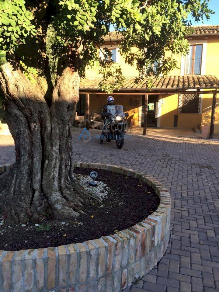 Albergo - Struttura ricettiva Via Mediana, Sant'Omero - foto 3