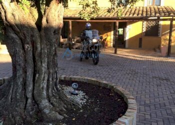 Albergo - Struttura ricettiva Via Mediana, Sant'Omero - foto 3