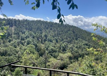 Rif  144 21.jpg - Porzione di casa Ponzone - foto 24