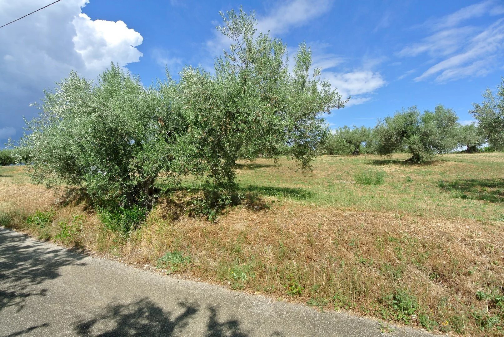 Terreno agricolo VIA MAURY, Città Sant'Angelo - foto 2
