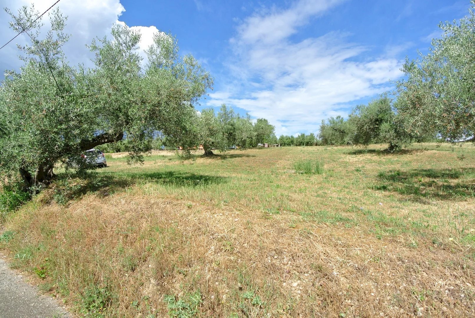 Terreno agricolo VIA MAURY, Città Sant'Angelo - foto 3