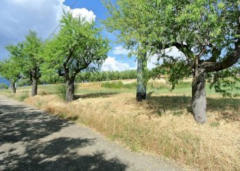 Terreno agricolo VIA MAURY, Città Sant'Angelo - foto 1