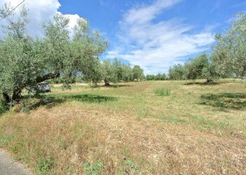 Terreno agricolo VIA MAURY, Città Sant'Angelo - foto 3