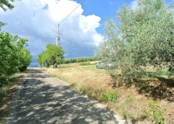 Terreno agricolo VIA MAURY, Città Sant'Angelo - foto 4
