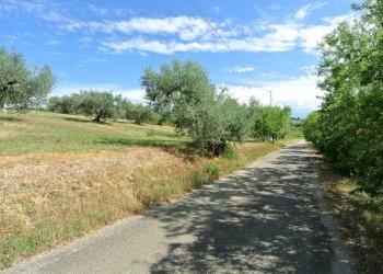 Terreno agricolo VIA MAURY, Città Sant'Angelo - foto 5