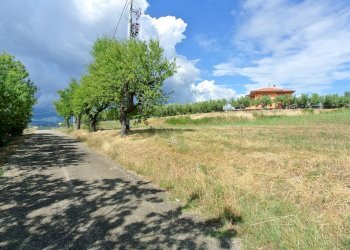 Terreno agricolo VIA MAURY, Città Sant'Angelo - foto 6