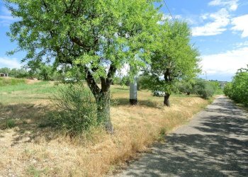 Terreno agricolo VIA MAURY, Città Sant'Angelo - foto 7