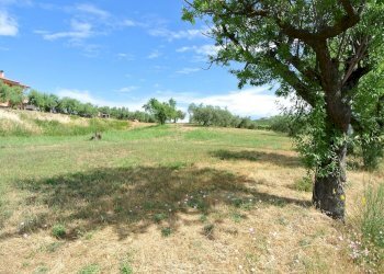 Terreno agricolo VIA MAURY, Città Sant'Angelo - foto 8