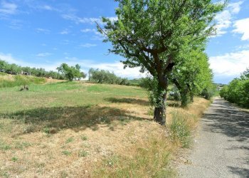 Terreno agricolo VIA MAURY, Città Sant'Angelo - foto 9