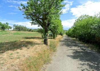 Terreno agricolo VIA MAURY, Città Sant'Angelo - foto 10