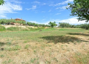 Terreno agricolo VIA MAURY, Città Sant'Angelo - foto 11