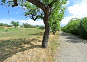 Terreno agricolo VIA MAURY, Città Sant'Angelo - foto 12