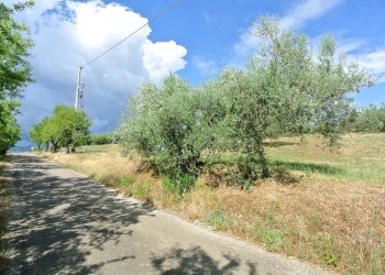 Terreno agricolo VIA MAURY, Città Sant'Angelo - foto 16
