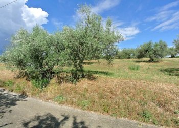 Terreno agricolo VIA MAURY, Città Sant'Angelo - foto 17