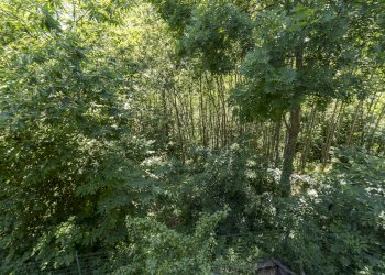 Rustic Borgata Belliard, 28, Roccabruna - photo 22