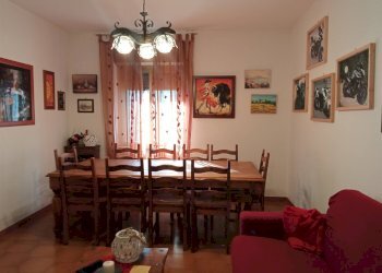 Apartment -, Vetralla - photo 8