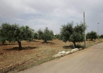 Terreno edificabile via Ernesto Tagliaferri, Statte - foto 1