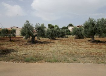 Terreno edificabile via Ernesto Tagliaferri, Statte - foto 2