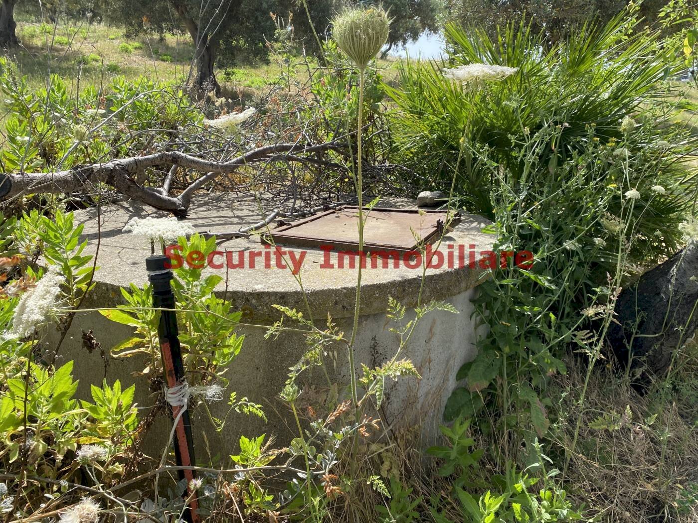 Agricultural land contrada Nadore, Sciacca - photo 1