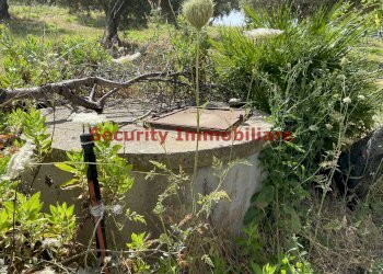 Terreno agricolo contrada Nadore, Sciacca - foto 1