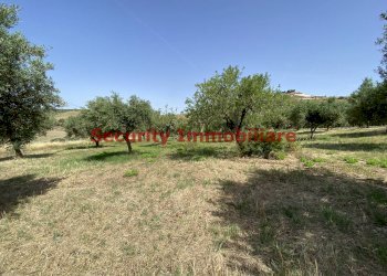 Terreno agricolo contrada Nadore, Sciacca - foto 2