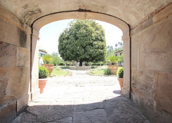 vendesi villa con giardinoIMG_3499.JPG - Appartamento Via dei Sodini 38, Capannori - foto 5