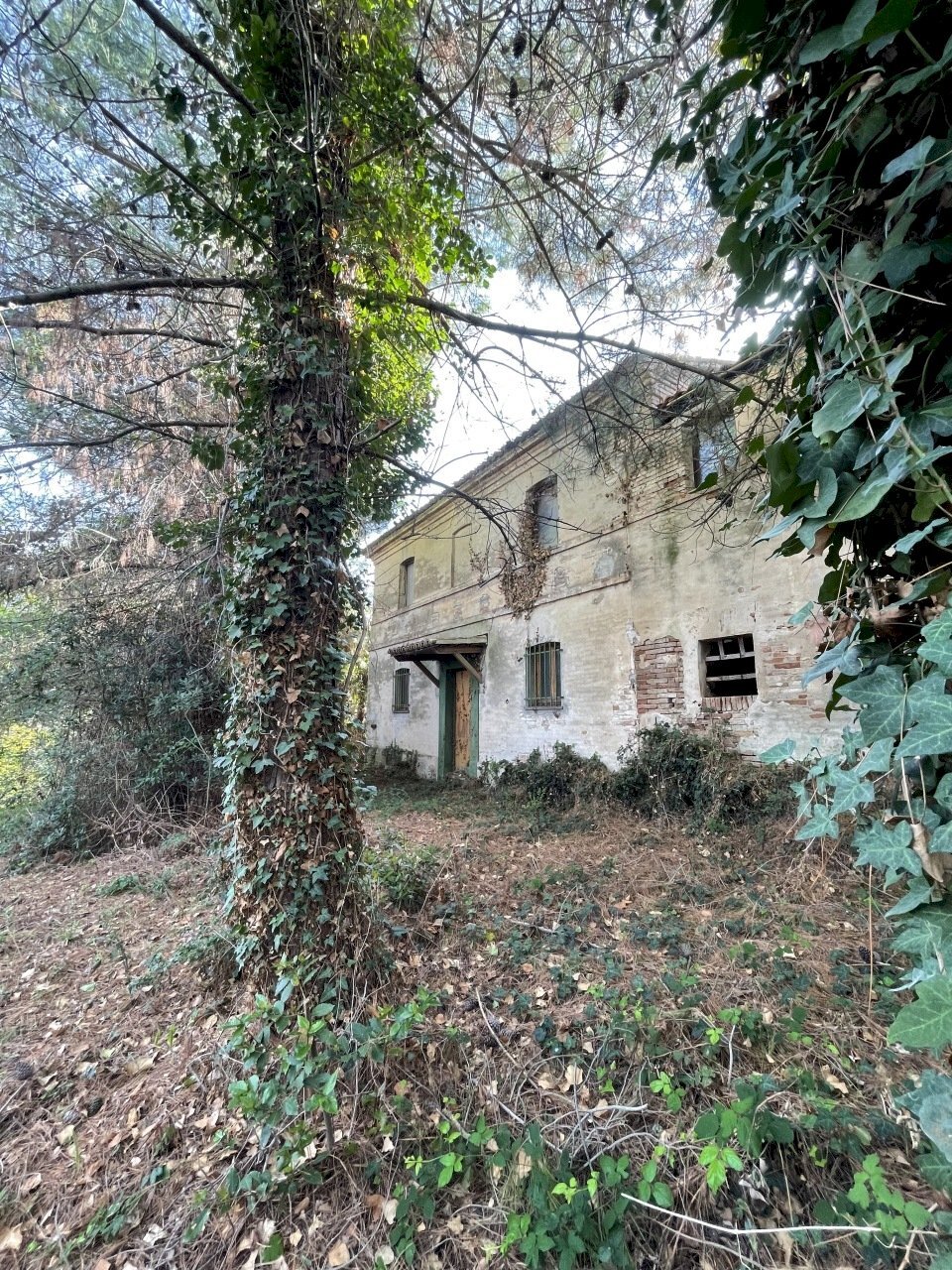 IMG_9555.jpg - Casa indipendente Jesi - foto 2