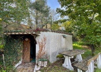 IMG_9552.jpg - Casa indipendente Jesi - foto 3