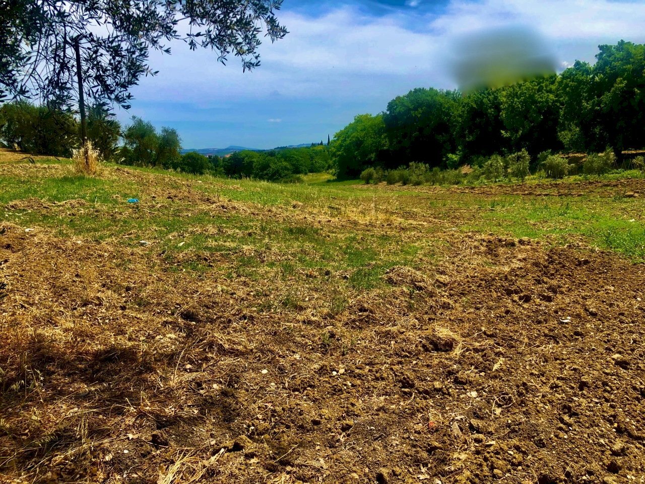 IMG_0575.jpeg - Agricultural land Jesi - photo 1