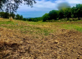 IMG_0575.jpeg - Agricultural land Jesi - photo 1