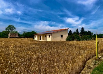 IMG_0574.jpeg - Agricultural land Jesi - photo 1