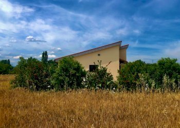 IMG_0572.jpeg - Agricultural land Jesi - photo 4