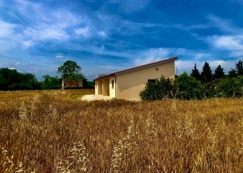 IMG_0573.jpeg - Agricultural land Jesi - photo 5