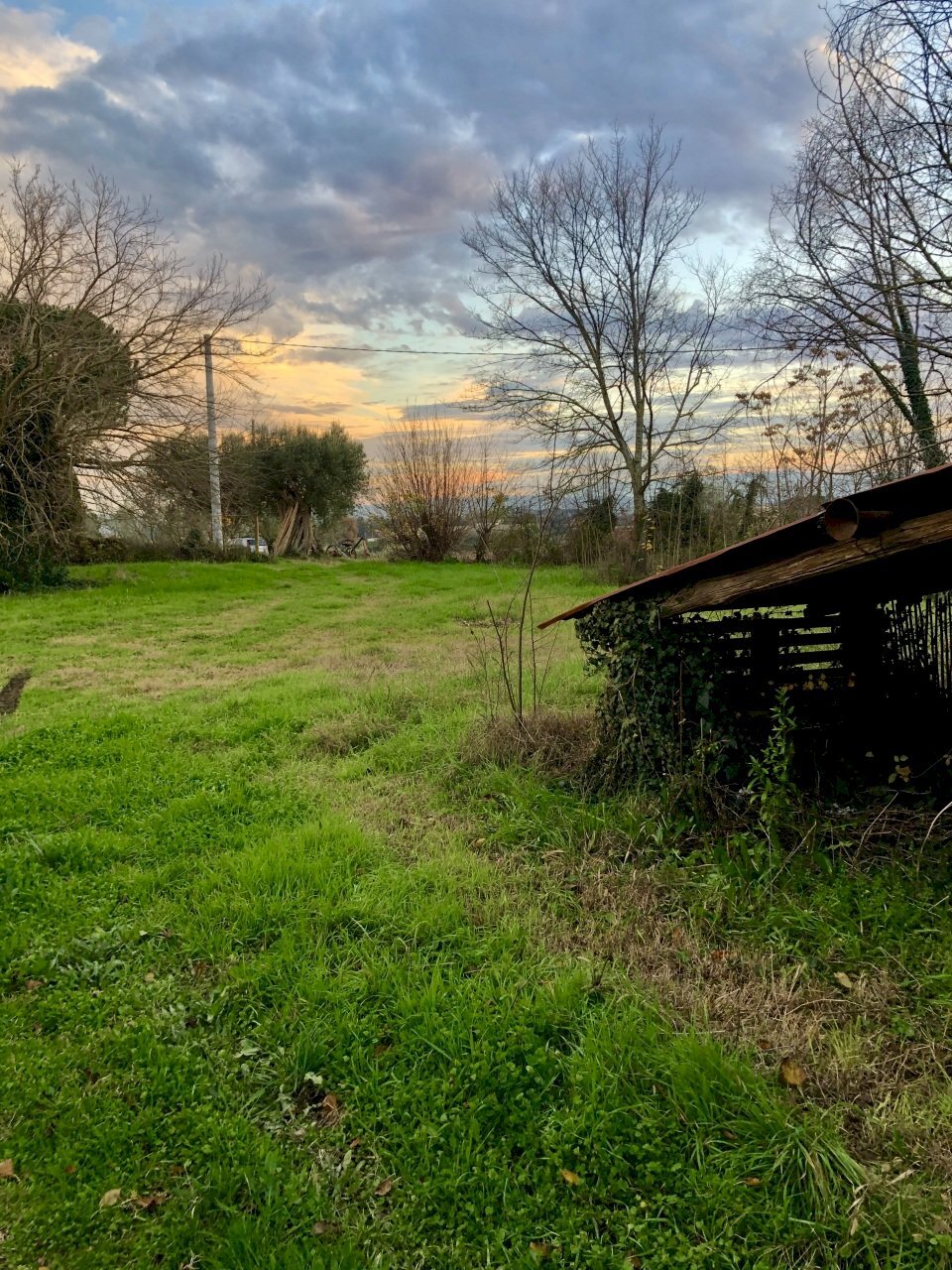 7C4F666E-0DB6-4362-84D0-82544431B381_1_201_a.jpeg - Casale Jesi - foto 2