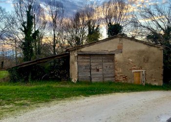 D893154E-D0BD-4B70-920E-A2568C148C70_1_201_a.jpeg - Casale Jesi - foto 1